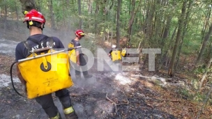 U Srbiji 168 požara